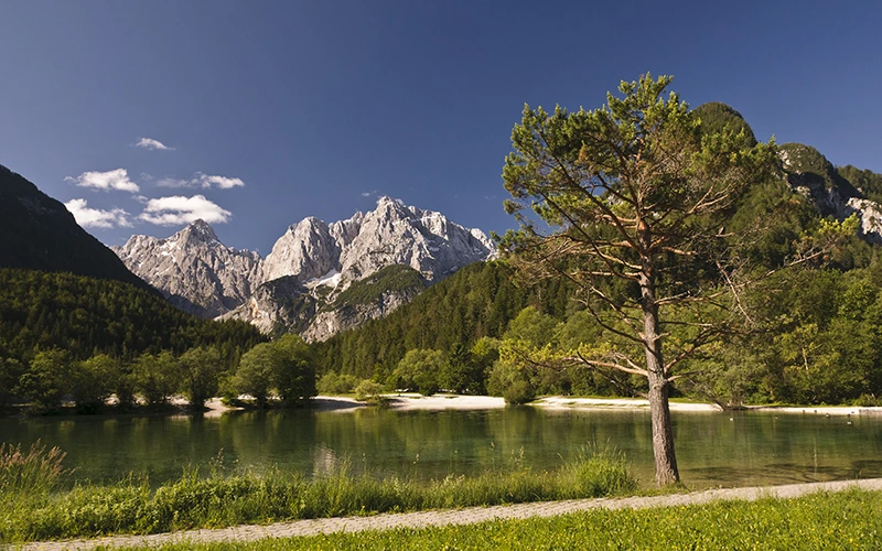 alpine lake mountains in beackground