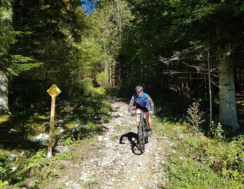 Cyclist on a forest gravel trail in Slovenia, part of self-guided MTB and gravel bike tours.