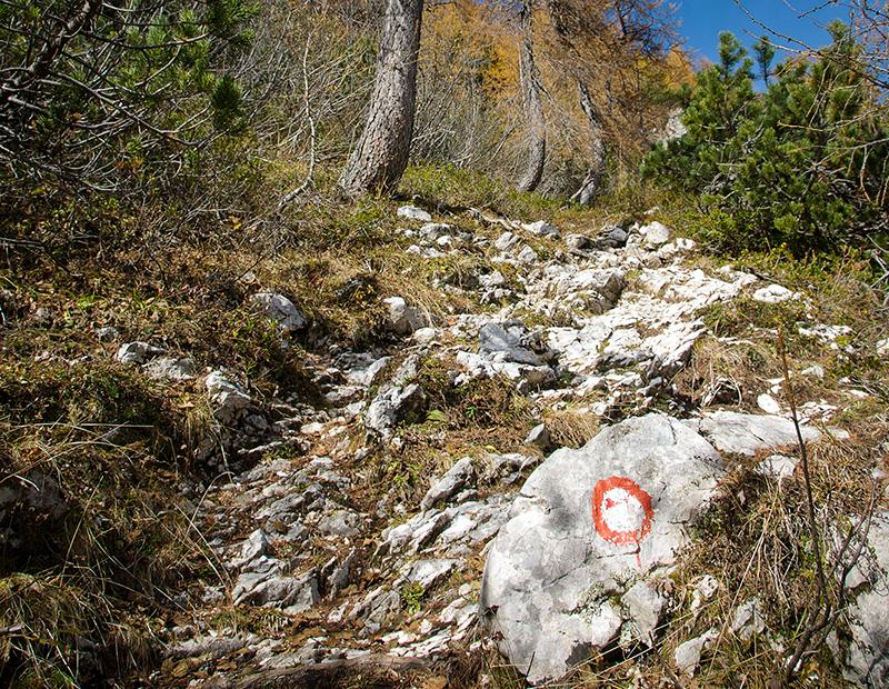 Marked alpine hiking trail in Slovenia with red and white mountain waymark, guiding walkers through the Julian Alps.