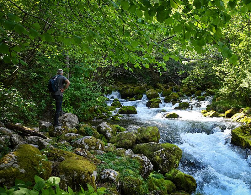 Hiker walking beside a moss-covered river source near Bovec, Slovenia