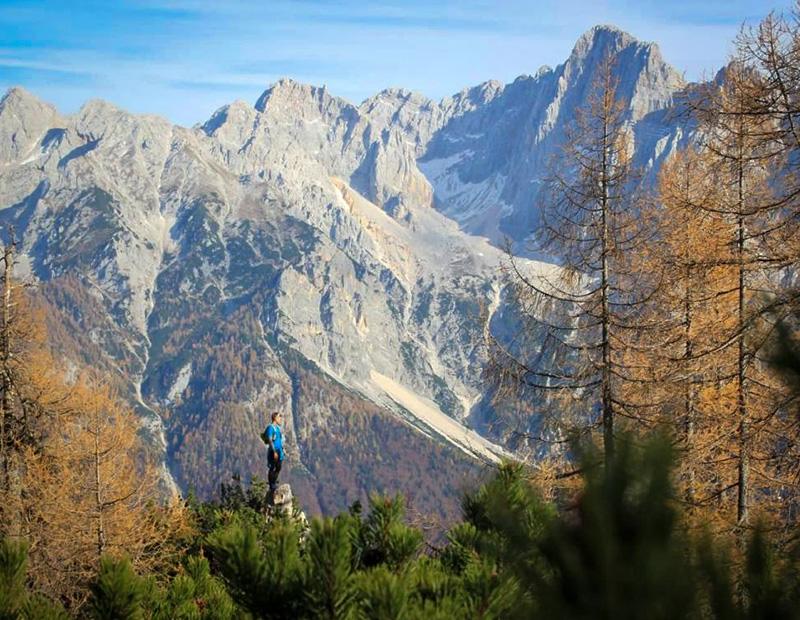 Hiker admiring autumn views of the Julian Alps in Slovenia, colorful forests and rocky peaks on a self-guided trek.