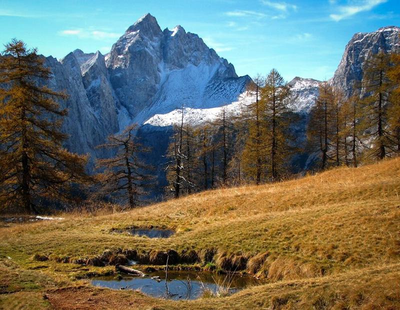 Autumn view of rocky Julian Alps peaks in Slovenia, surrounded by alpine meadows and larch forests.
