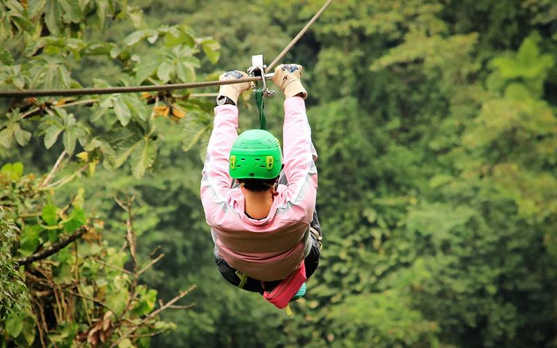 Zipline above lush green forests in Slovenia, popular outdoor activity combined with hiking holidays in the Julian Alps.